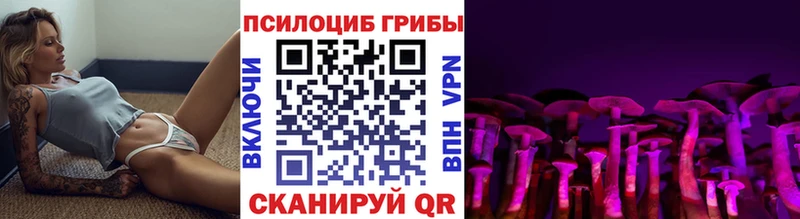 Купить где  Изобильный  Галлюциногенные грибы мухоморы 